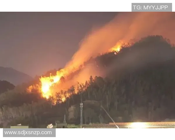 突发！热火主帅斯波豪宅遭受大火 当地救援部队正全力熄灭火势